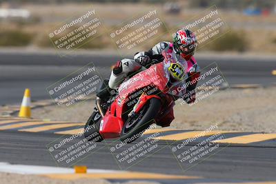 media/Jan-19-2024-Apex Assassins-CVMA Friday (Fri) [[74e94f2102]]/Trackday 1/Session 2 (Turn 11)/